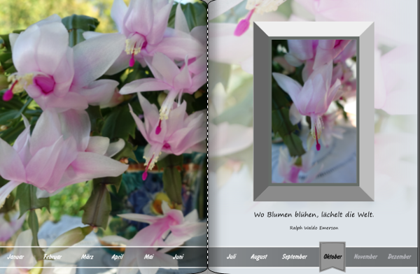 Screenshot (161).png