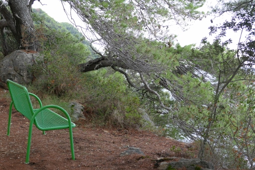 P1210066 (512x341).jpg