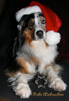 sissikeks Kopie 2.JPG