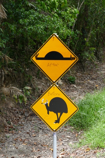 P1020250 (341x512).jpg