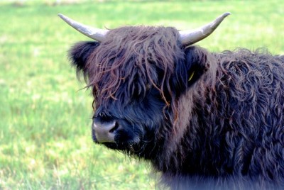 IMGP1543 620x415.jpg