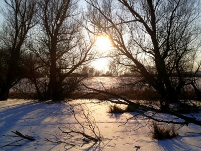 Schatten im Schnee.JPG