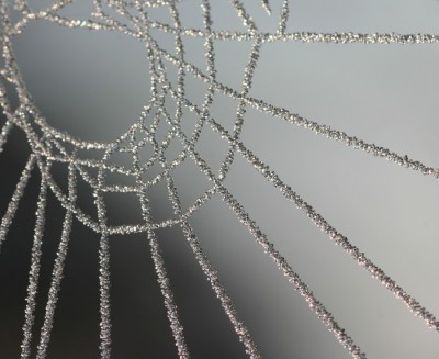 Glitzer-Spinnennetz.jpg