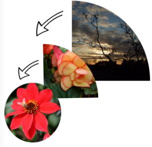 Einzelteile der Collage.JPG