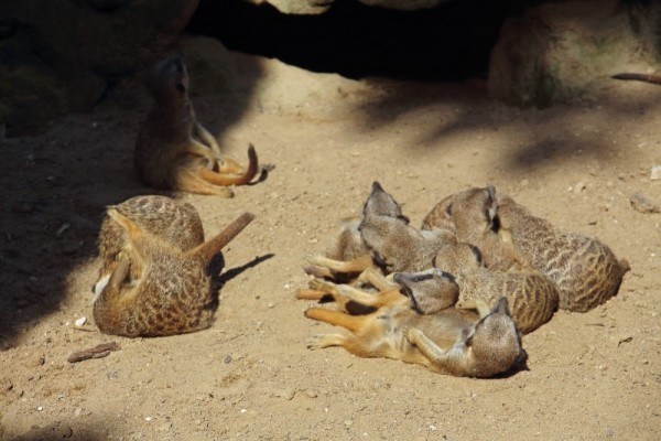 IMG_3205 (Custom).jpeg