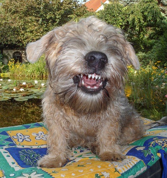 2015-Susi Supka-20150820-71.JPG