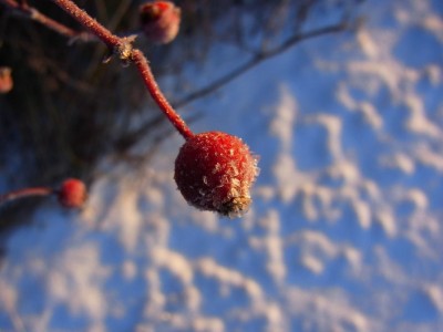 RIMG0763 - Kopie.JPG