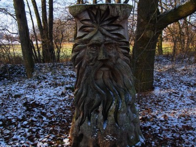 RIMG0737 - Kopie.JPG