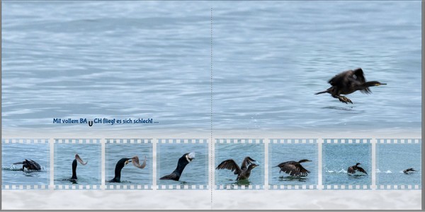 2018-07-28 14_16_18-Window.jpg