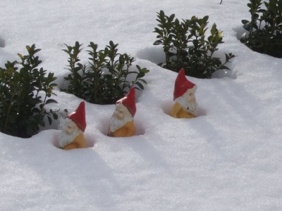 2010_0131Gartenzwerge_s.JPG