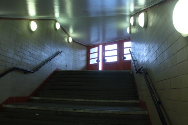 IMG_3842 (Custom).jpeg