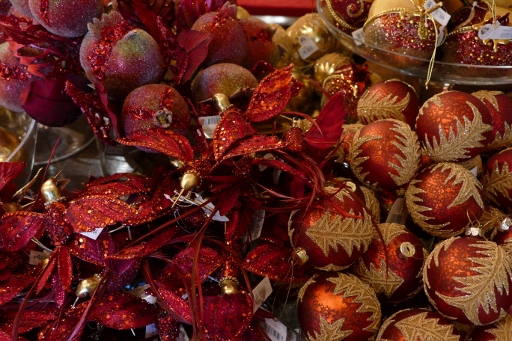 P1300157 (512x341).jpg