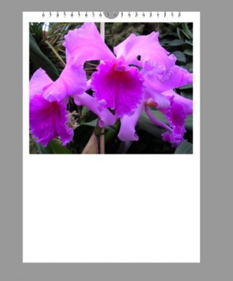 Beispiel März 2013.JPG