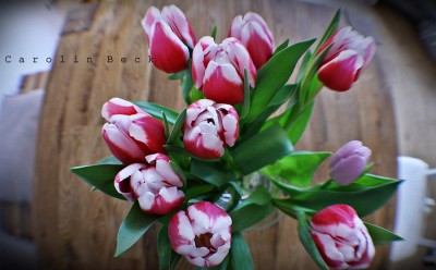 Frühling im Wohnzimmer.JPG