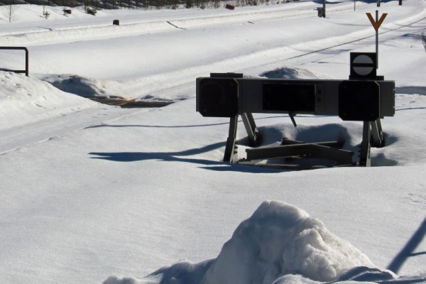 IMG_4644 (Custom).jpeg