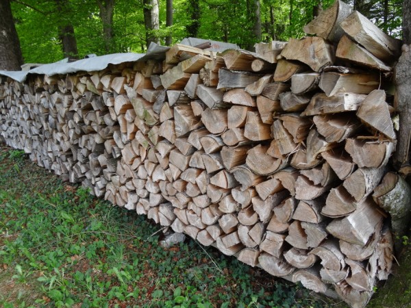 Holzstoßv.JPG