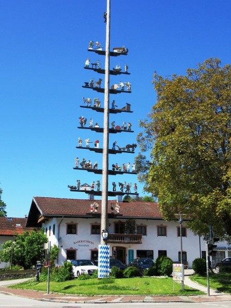 Maibaum IMG_1075.JPG