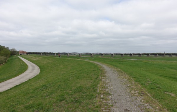 Elbe-Radweg.JPG