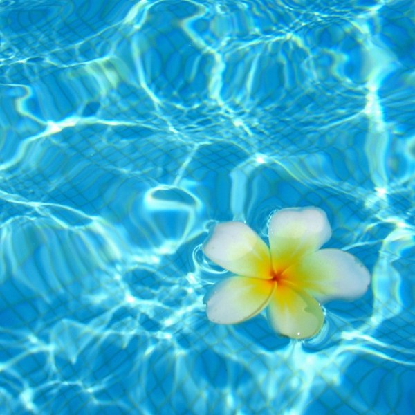 Ägypten 04 217m1 (2)w.jpg