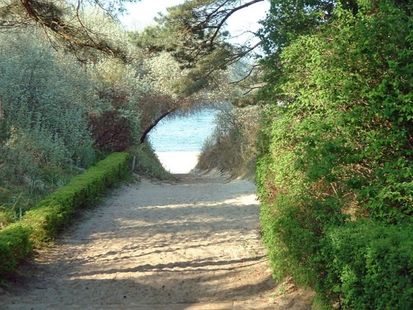 DSCF0029 (Custom).jpeg