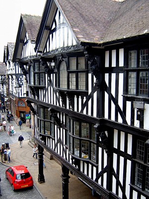 2009-08-27_Chester.jpg