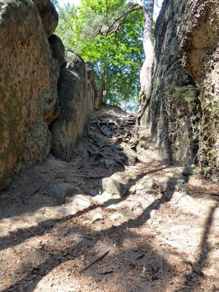 P1060682_Labyrinth Skalny mesto Bludiste.JPG