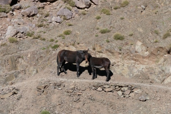 P1290205 (640x427).jpg