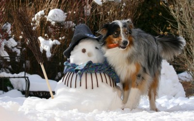 Sandra_Ilgaz_03 Kopie.jpg