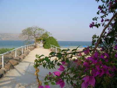 See Genesareth klein.jpg