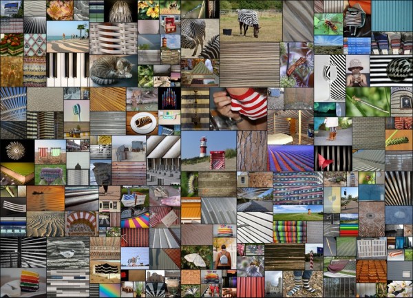 Challenge 19-10 Zebralogie.jpg