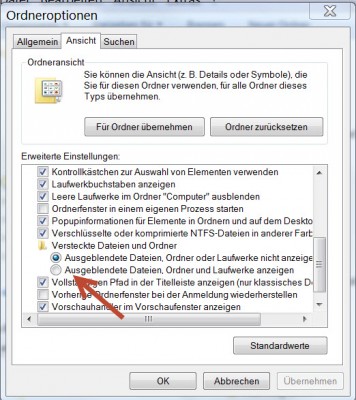 21-06-2013 10-19-20.jpg