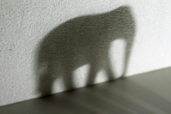 IMG_5967 (Custom).jpeg