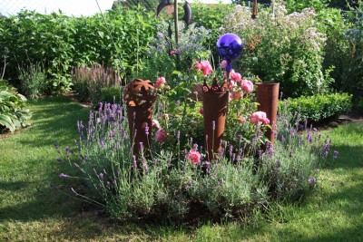2011_0708Rosen_mit_Lavendel.jpg