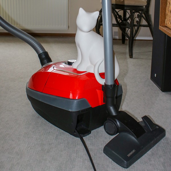 Staubsauger meets Cat.jpg