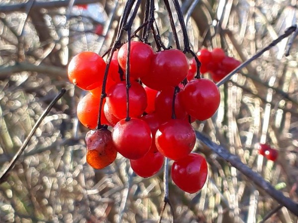 20191229_142058 (Copy).jpg