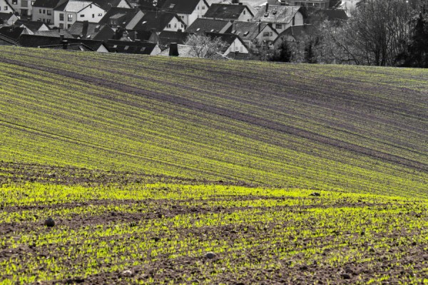 P1270662 Weibern_DxO.jpg