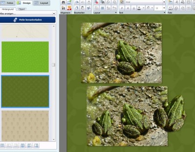 Freistellen_in Powerpoint.jpg