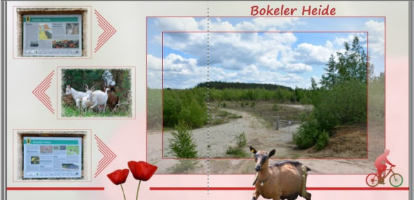 Clipboard Ziege 1.jpg