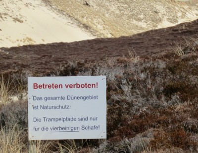 Schild.jpg