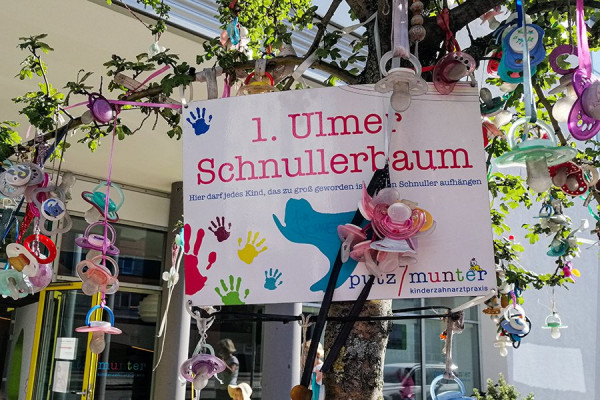 Schnullerbaum.jpg