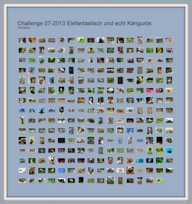 Challenge 07-2013 Elefantastisch und echt Kängurös.jpg