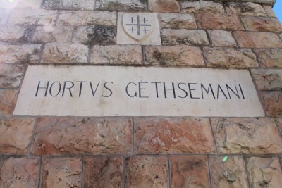 Gethsemane 2.jpg