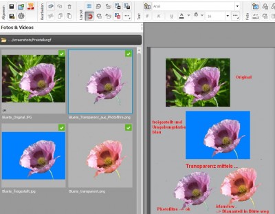 Freistellen_und_Transparenz_Photofiltre.jpg