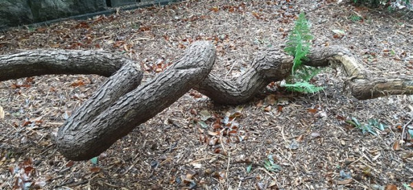 20201017_112004_DD Friedhof.jpg