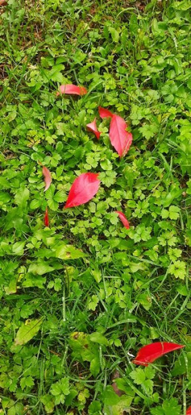 20201017_112142_DD Friedhof.jpg