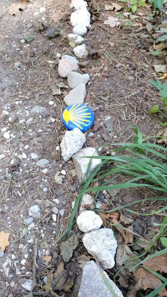 Stein mit Sonne_k.jpg