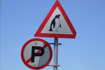 2007_Pinguin.JPG