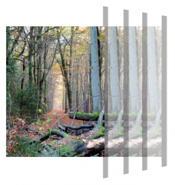 Screenshot (316).png