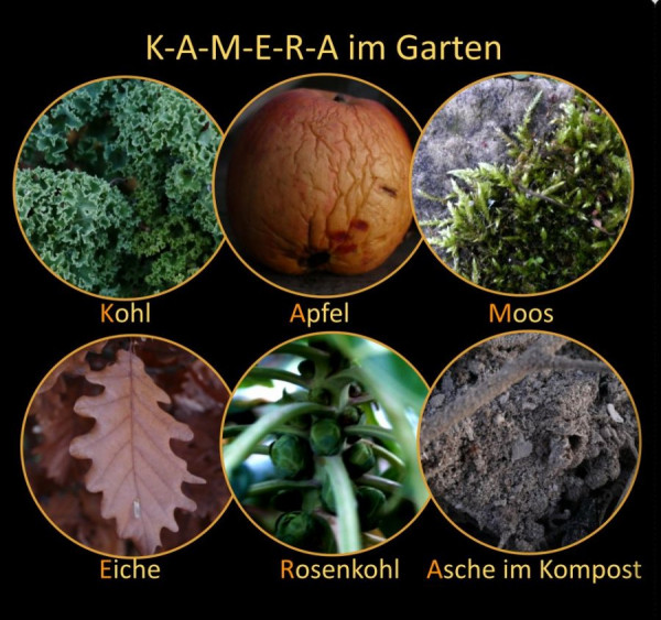 1 Kamera im Garten LUM.jpg