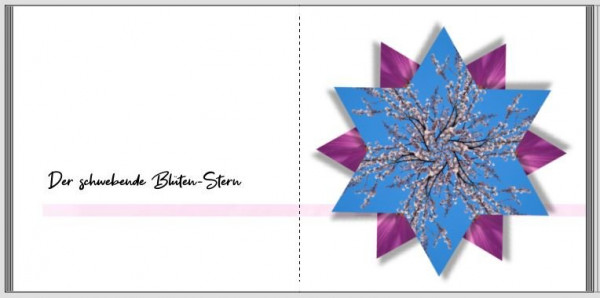 Blüten-Stern1.JPG